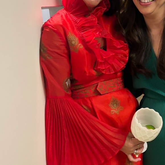 Vintage RARE Alfred Shaheen CHIFFON dress STUNNING! Witch core - Picture 3 of 3